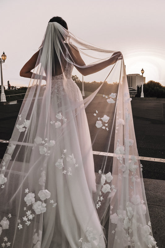 Sofia Veil