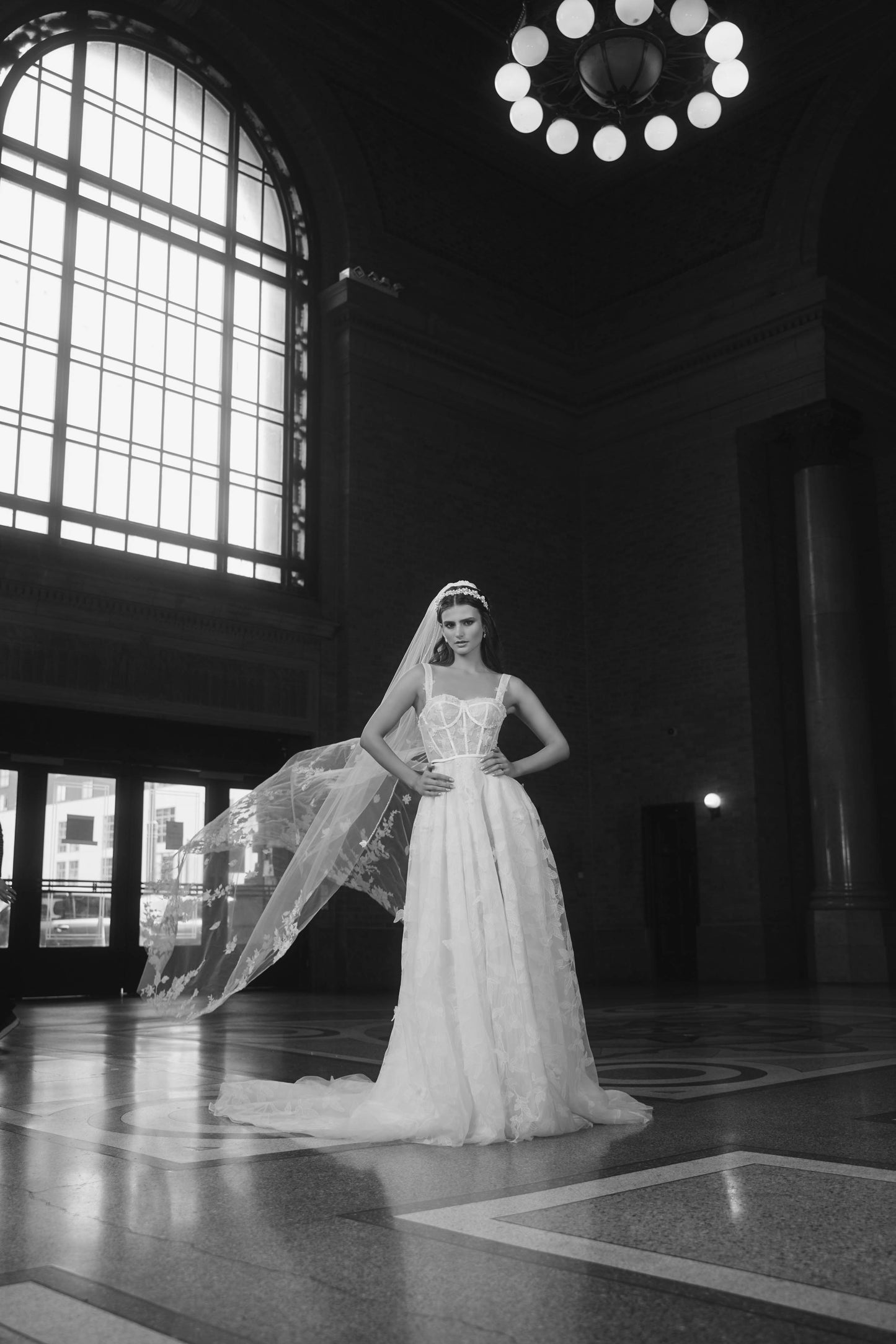 Tara Veil