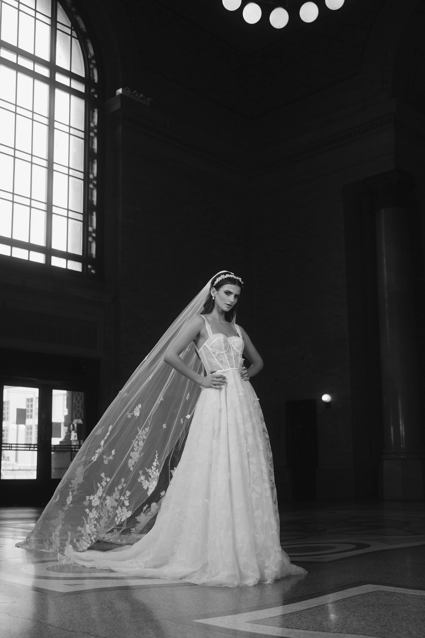 Tara Veil