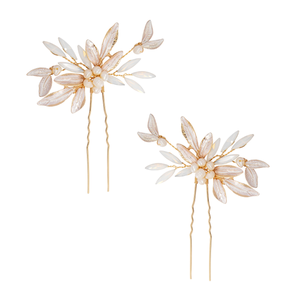 Glamorous Hair Clip Pair