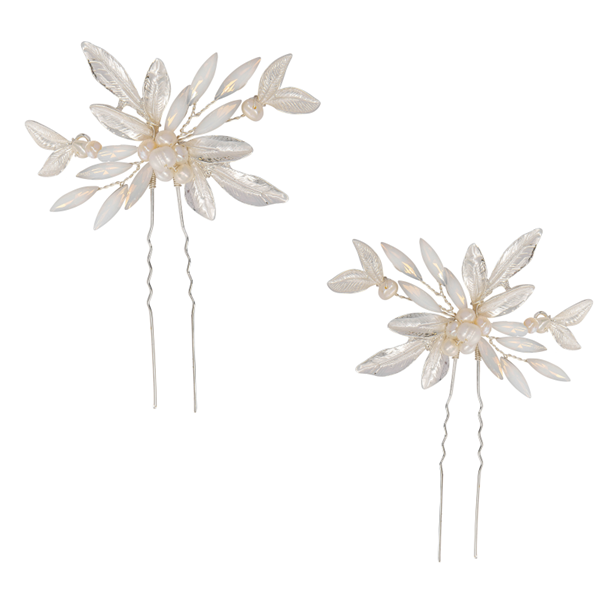 Glamorous Hair Clip Pair
